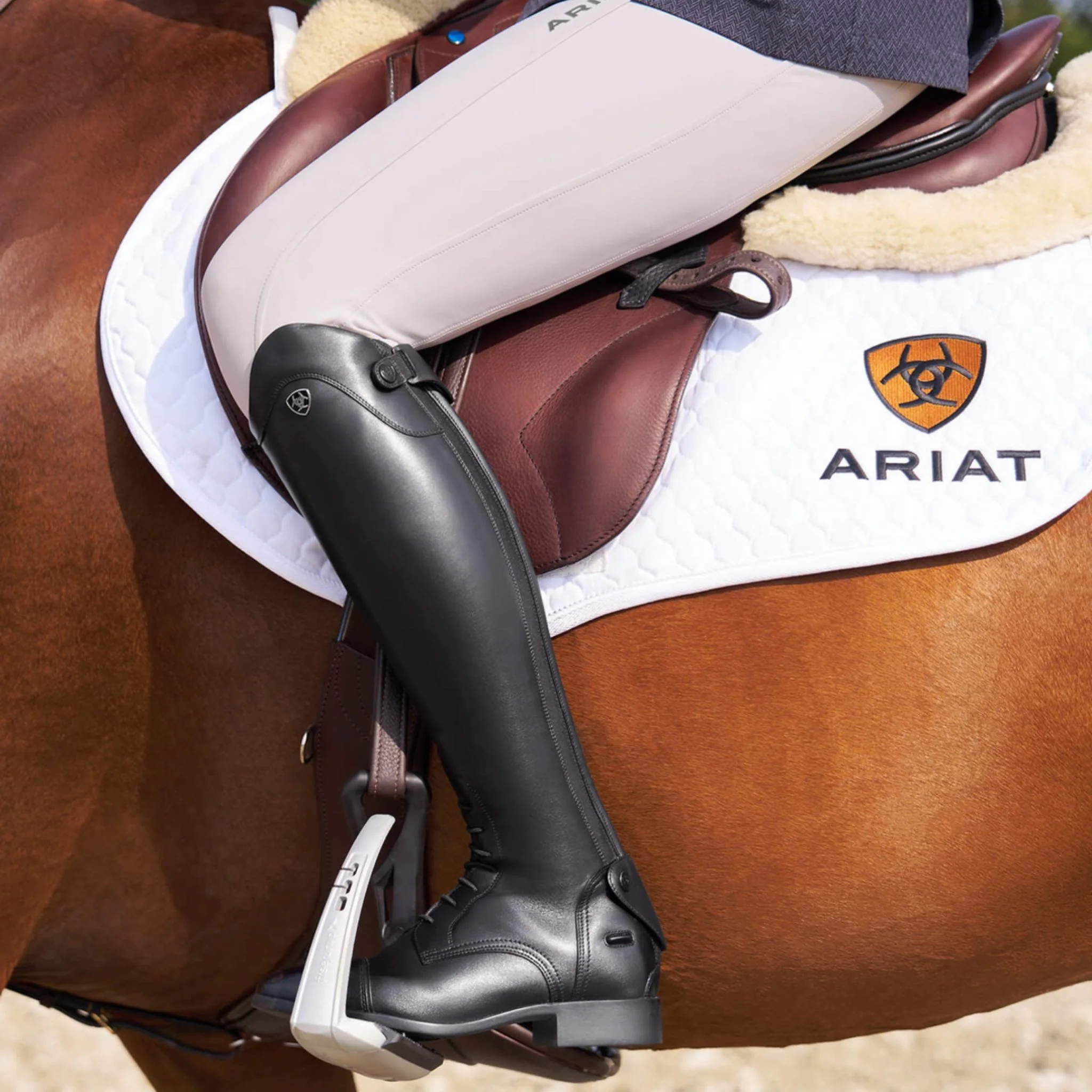 Ariat Women's Palisade Field Tall Riding Boot in Black - Image 9
