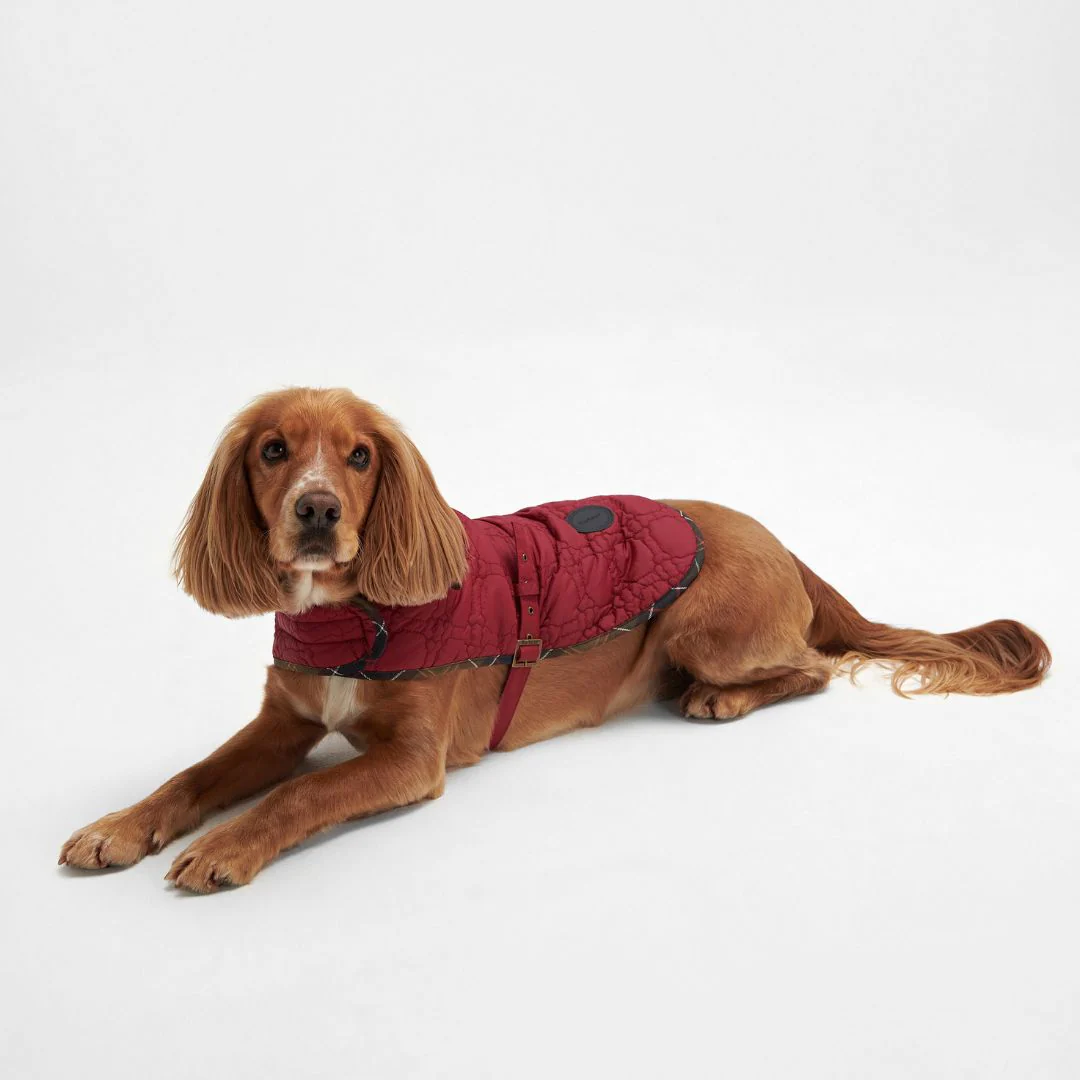 Barbour Dog Bone Quilted Dog Coat in Cranberry - Image 7