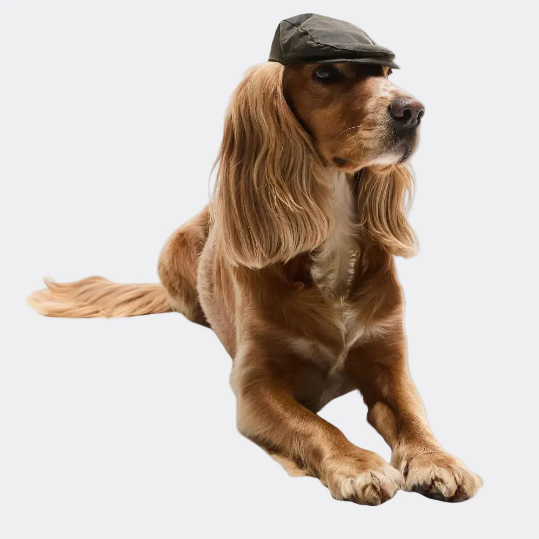 Barbour Dog Wax Flat Cap in Olive