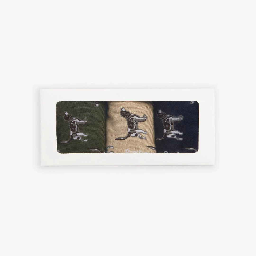 Barbour Pointer Dog Socks Gift Box in Forest Mist - Image 2