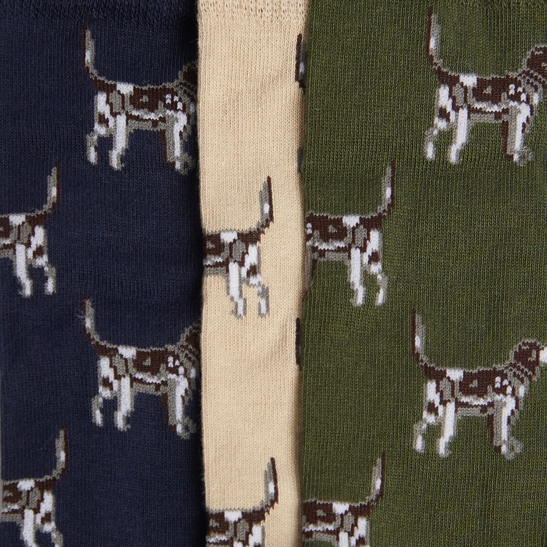 Barbour Pointer Dog Socks Gift Box in Forest Mist - Image 4