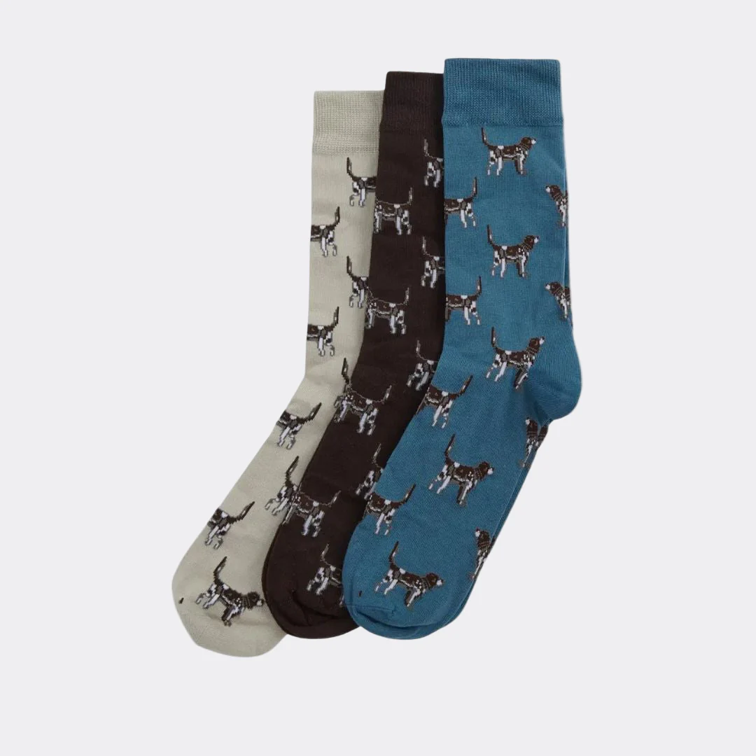 Barbour Pointer Dog Sock Gift Box in Bluestone