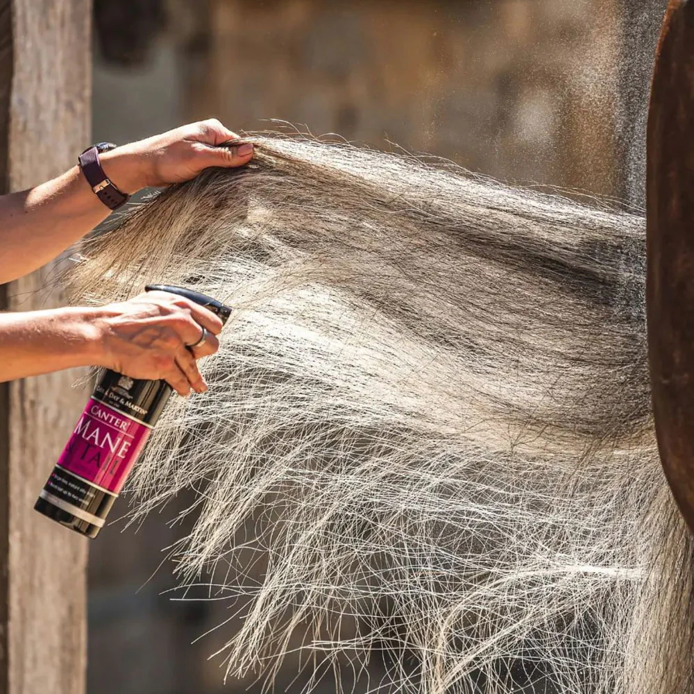 Carr & Day & Martin Grooming Duo Tin - Image 4
