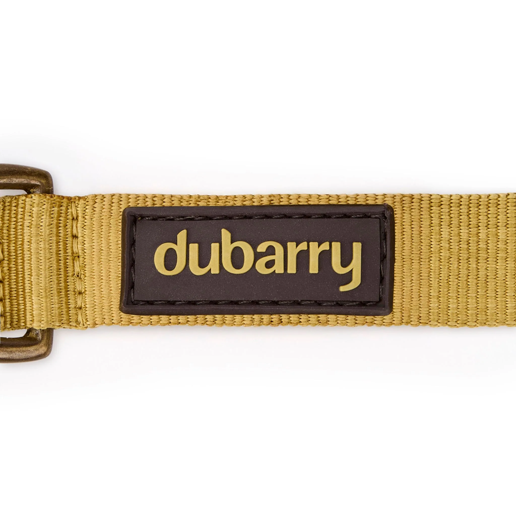 Dubarry Apollo Dog Collar in Gold - Image 4