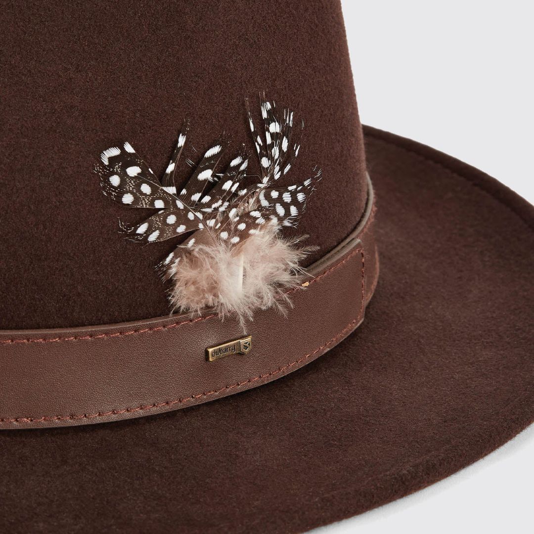 Dubarry Gallagher Felt Fedora Hat in Bourbon - Image 2