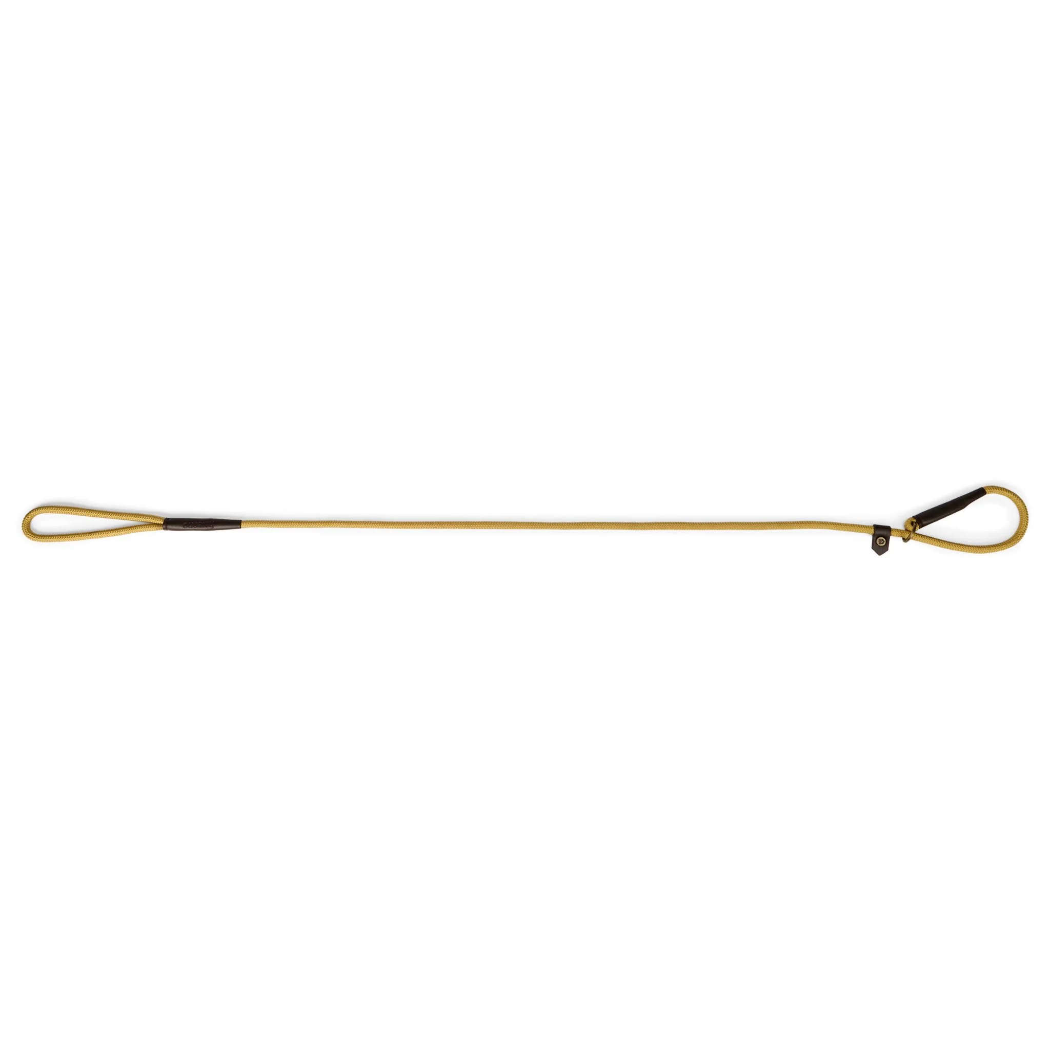 Dubarry Marley Dog Lead in Gold - Image 3