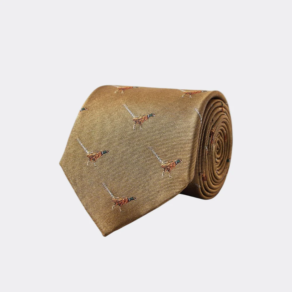 Dubarry Men's Madden Silk Tie in Gold - Image 3