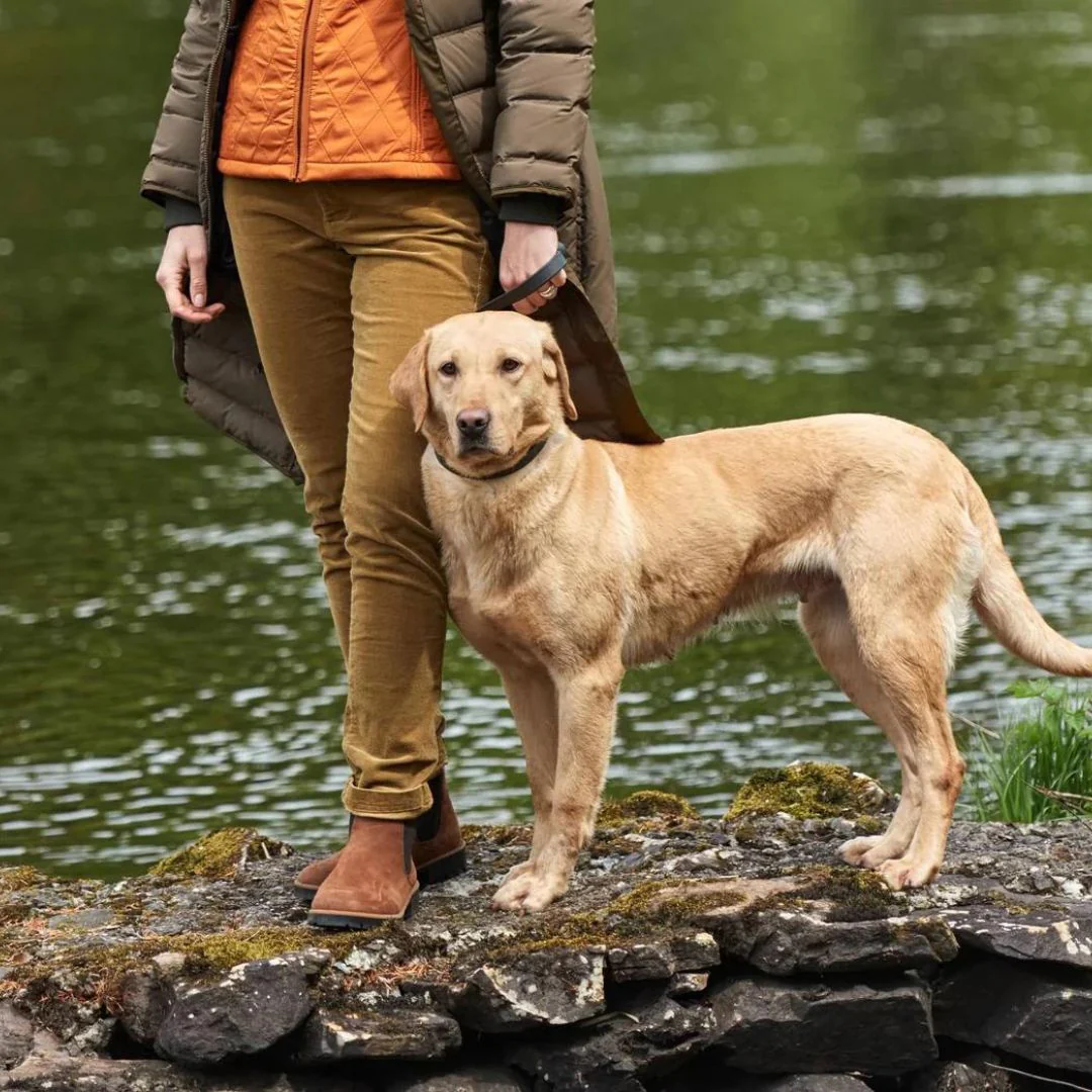 Dubarry Women's Honeysuckle Jeans in Harvest Gold - Image 2