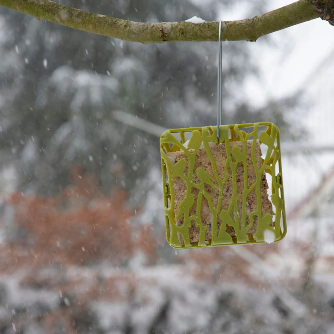 Esschert Design Chiffchaff Suet Block Hanger - Image 5