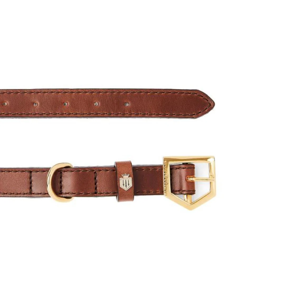 Fairfax & Favor Fitzroy Leather Dog Collar in Tan - Image 3