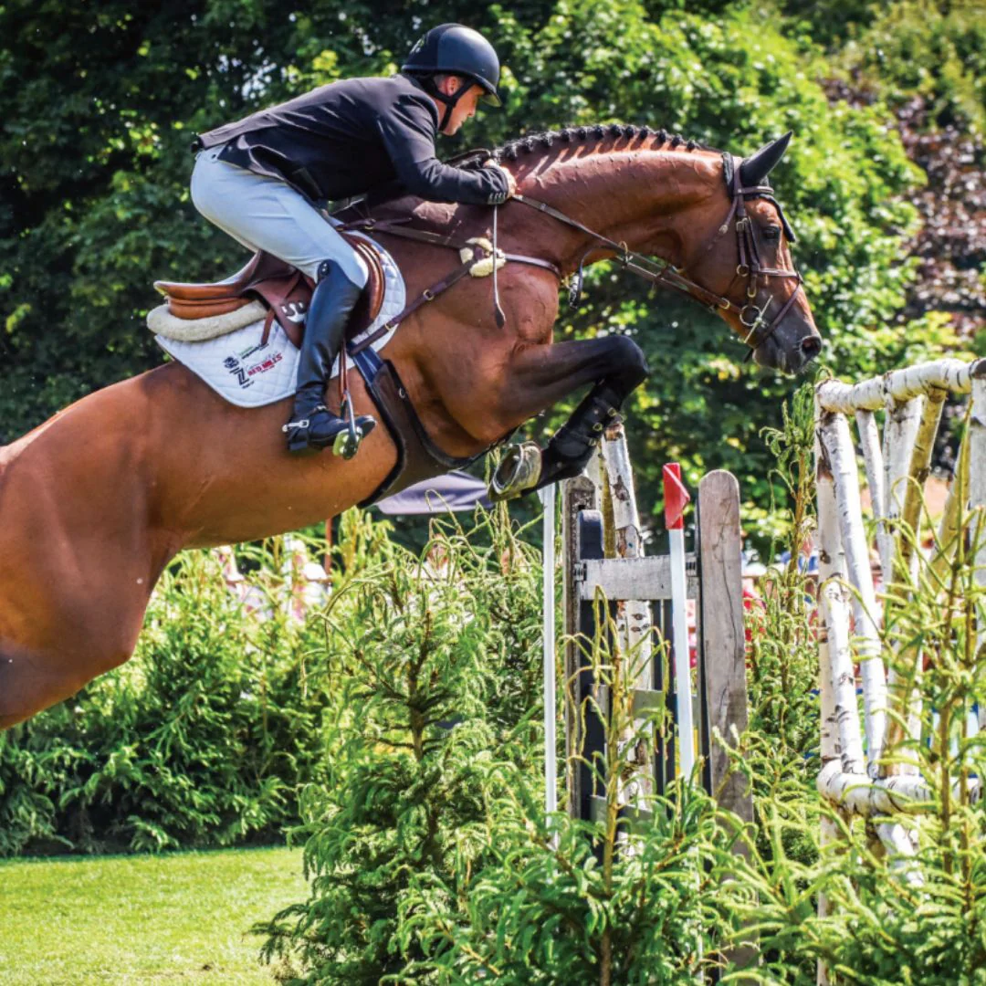 Foran Equine Ost-O-Flex - Image 3