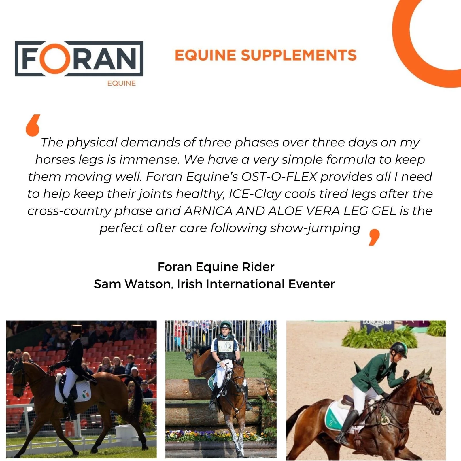 Foran Equine - Ost-O-Flex - Image 2