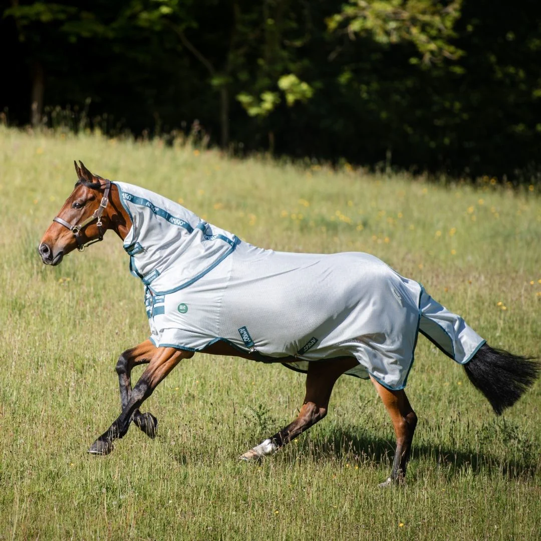 Horseware Amigo AmECO Bug Rug in Silver & Teal - Image 3