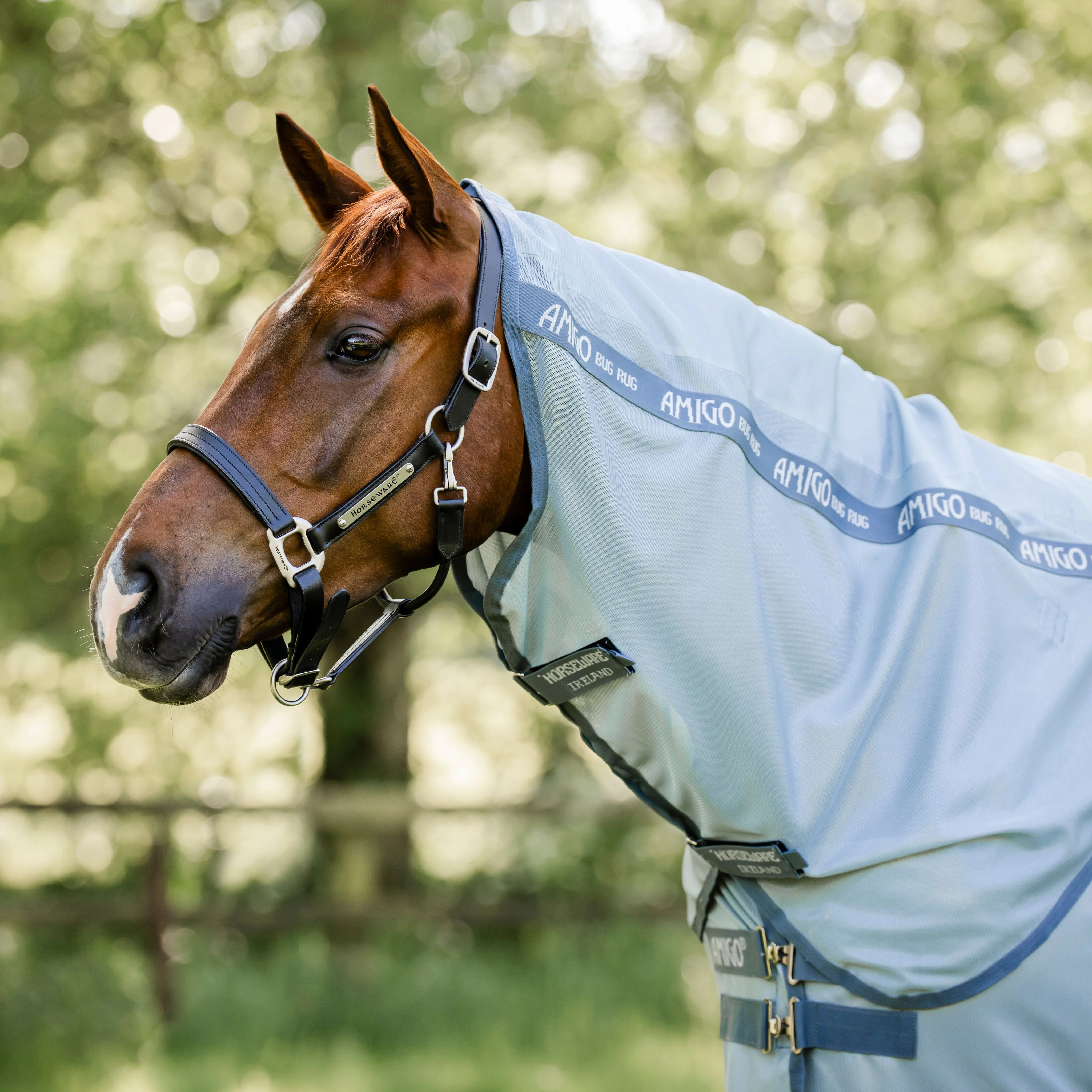 Horseware Amigo Bug Rug Plus Fly Sheet in Heather Blue & Silver - Image 3