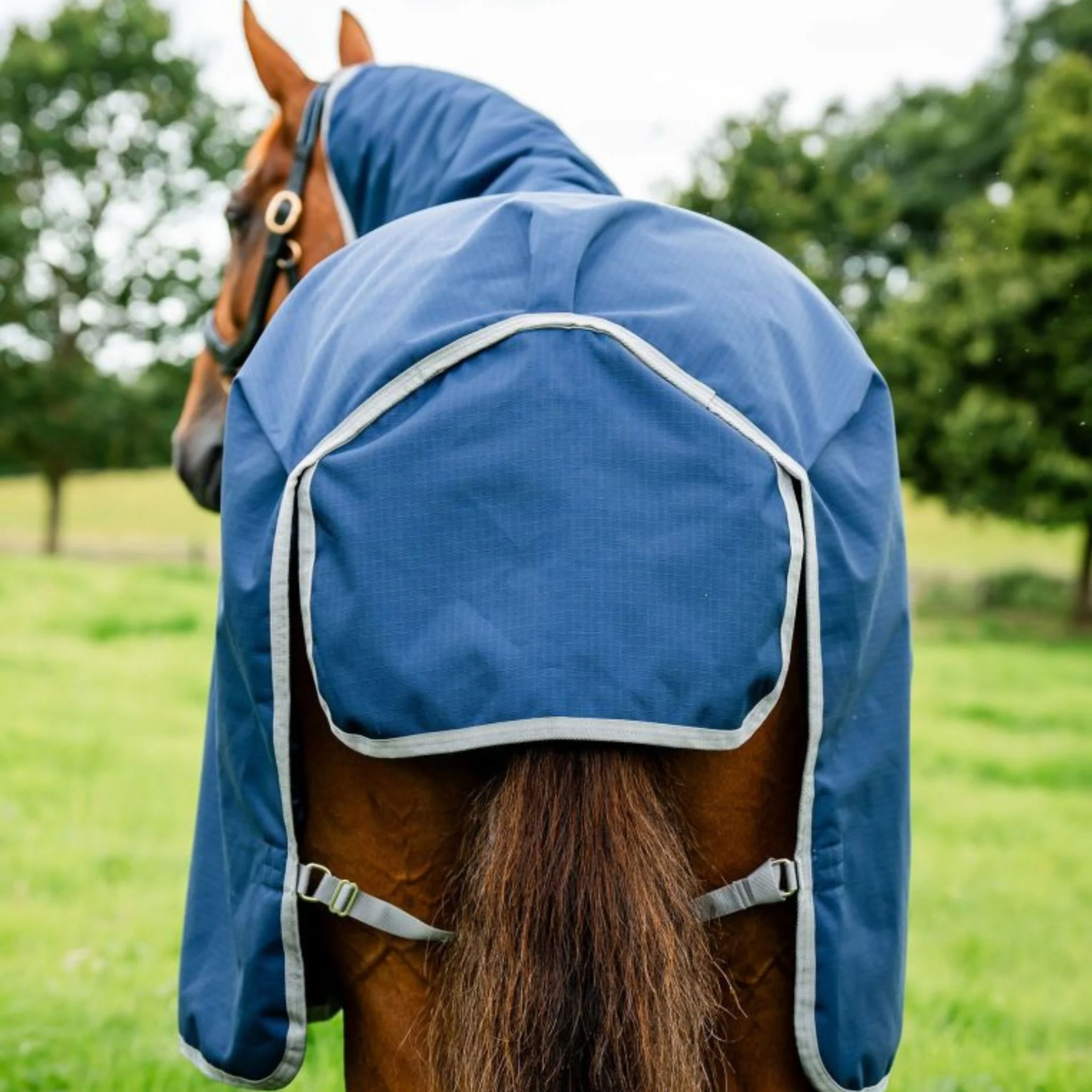 Horseware Amigo Ripstop 900D Light Turnout Rug in Navy & Titanium Grey (50g) - Image 2