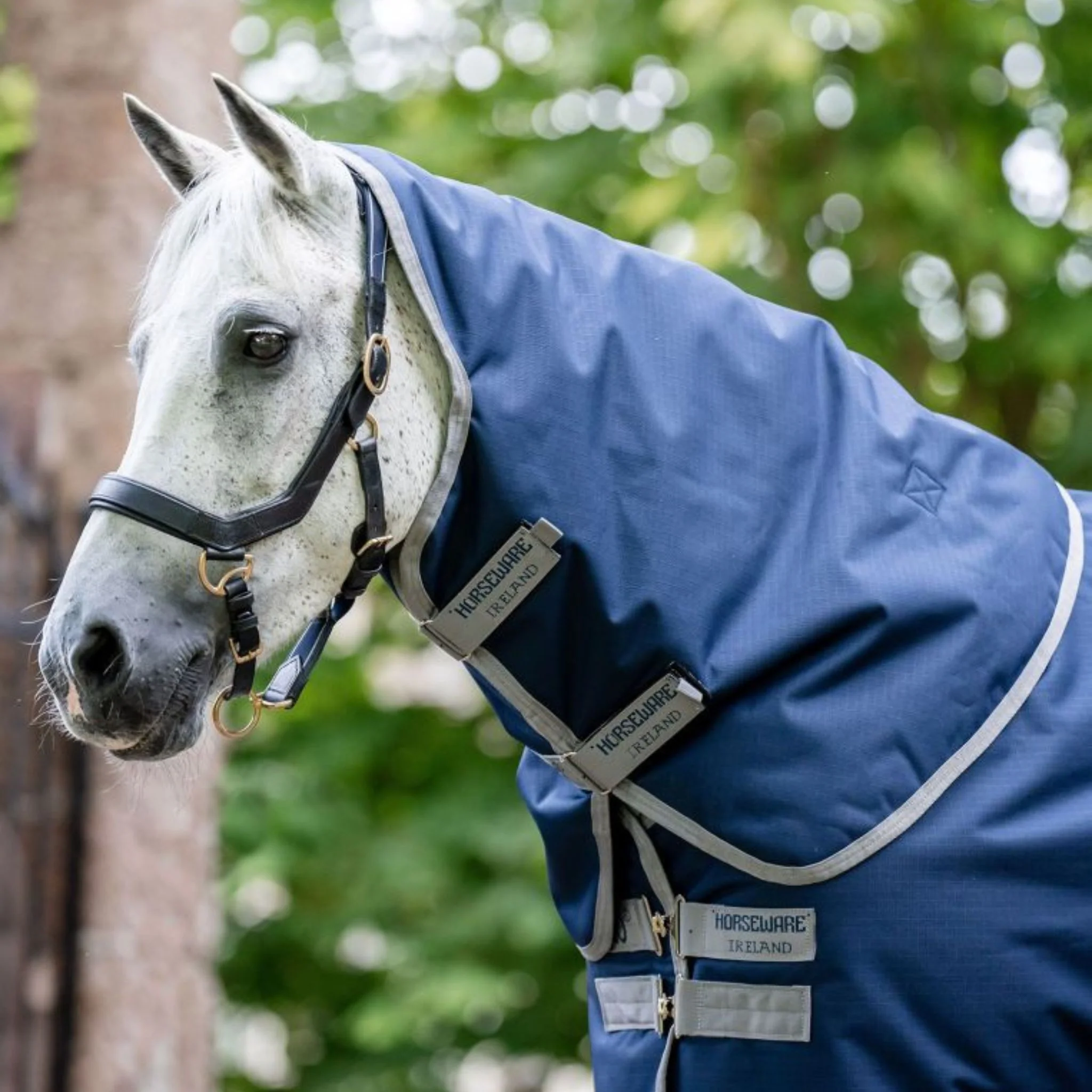 Horseware Amigo Ripstop 900D Plus Light Turnout Rug in Navy & Titanium Grey (100g) - Image 2