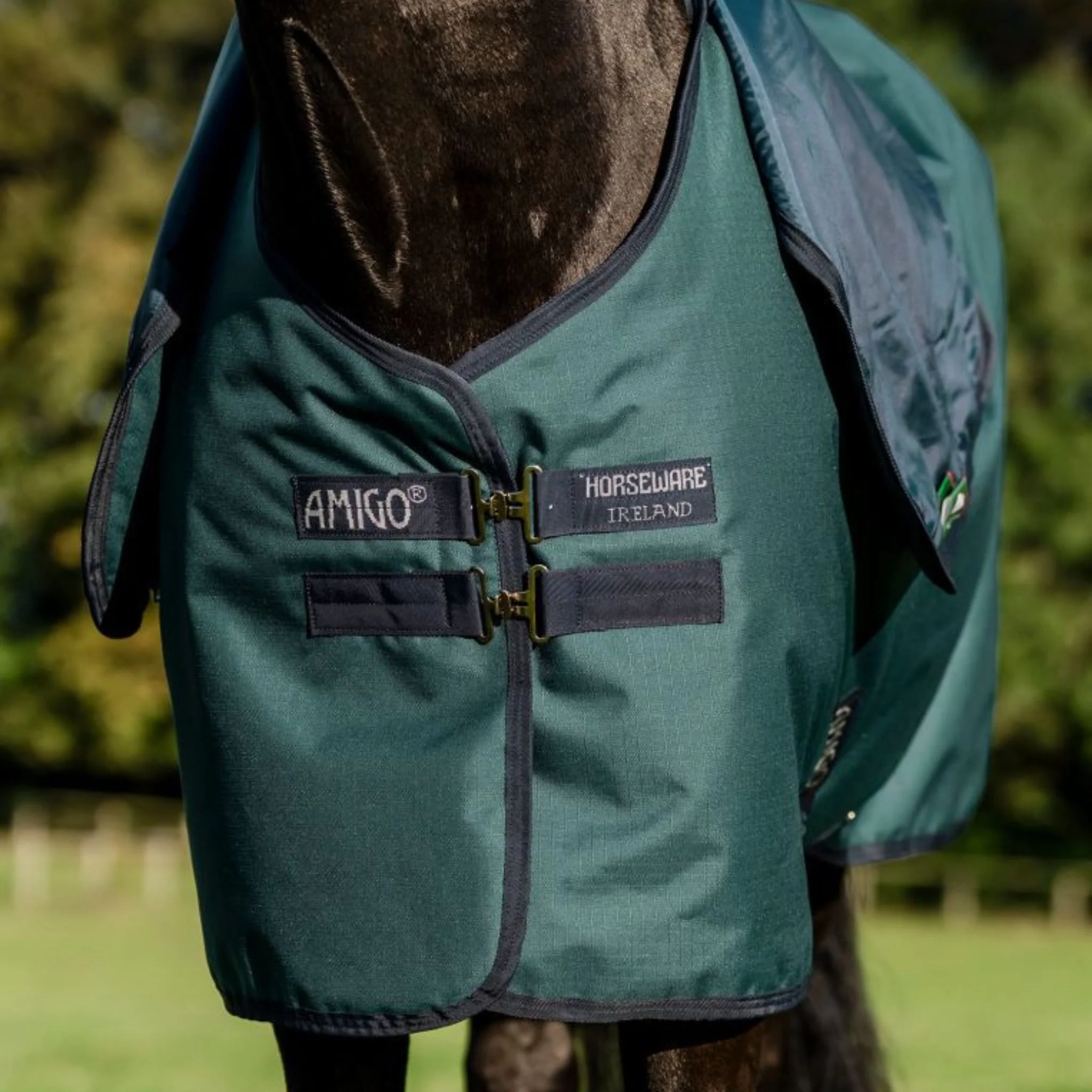 Horseware Amigo Ripstop 900D Plus Medium Turnout Rug in Dynasty Green (200g) - Image 2