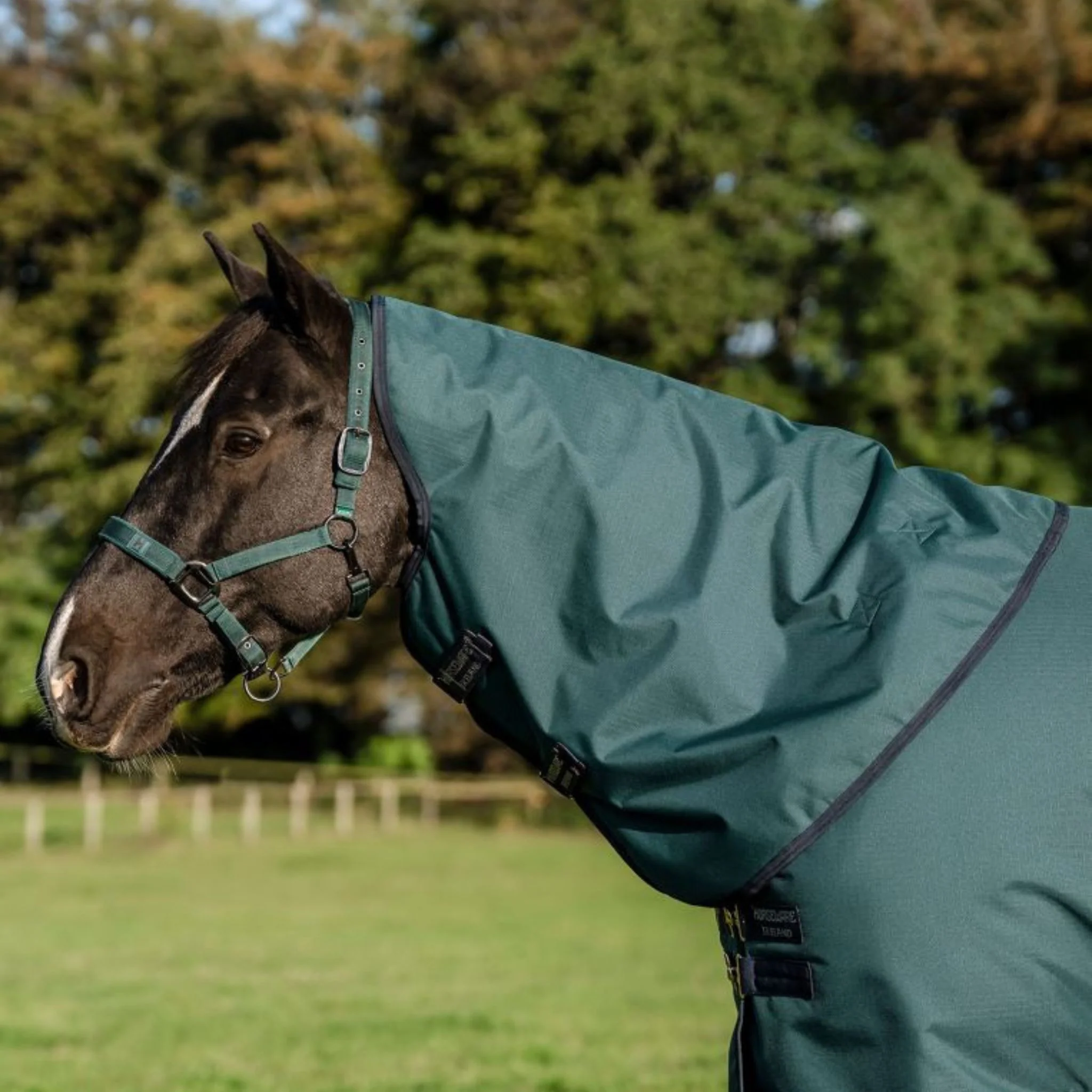 Horseware Amigo Ripstop 900D Plus Medium Turnout Rug in Dynasty Green (200g) - Image 6