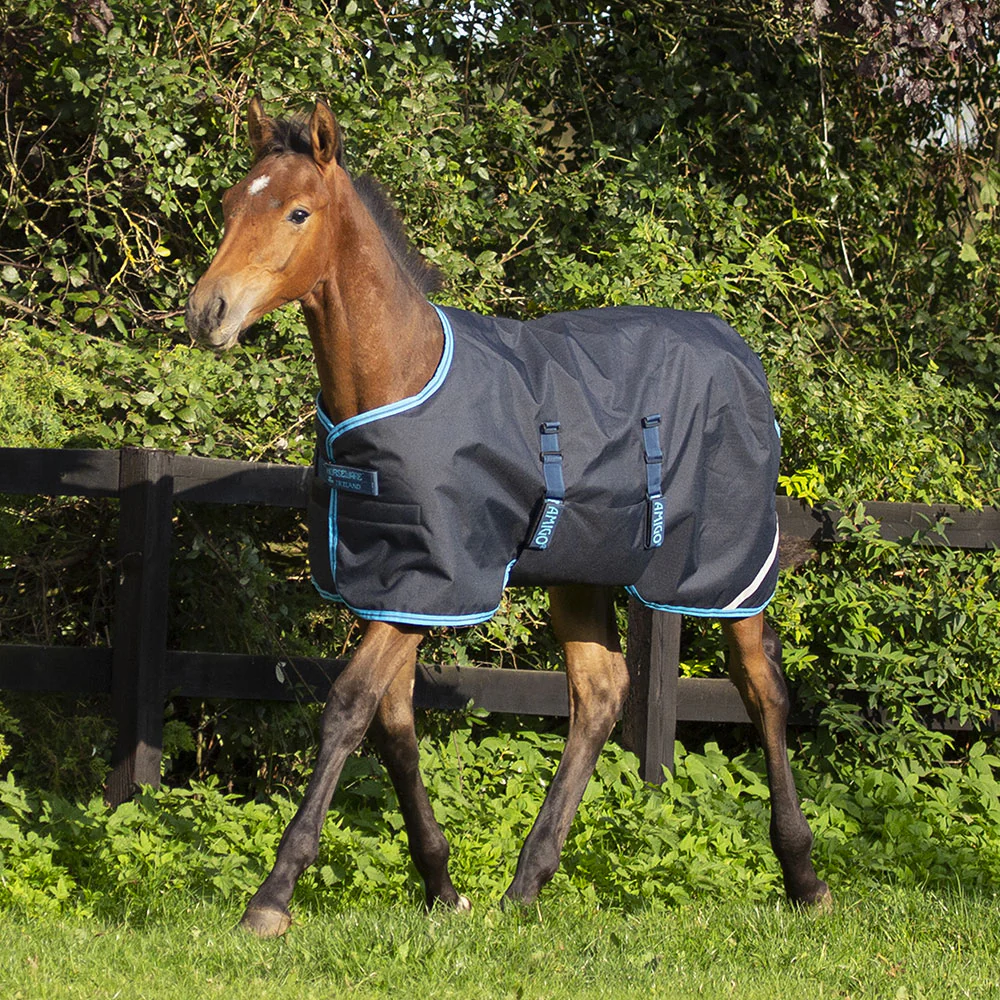 Horseware Amigo Ripstop Foal Lite Turnout Rug in Navy & Blue (50g) - Image 3