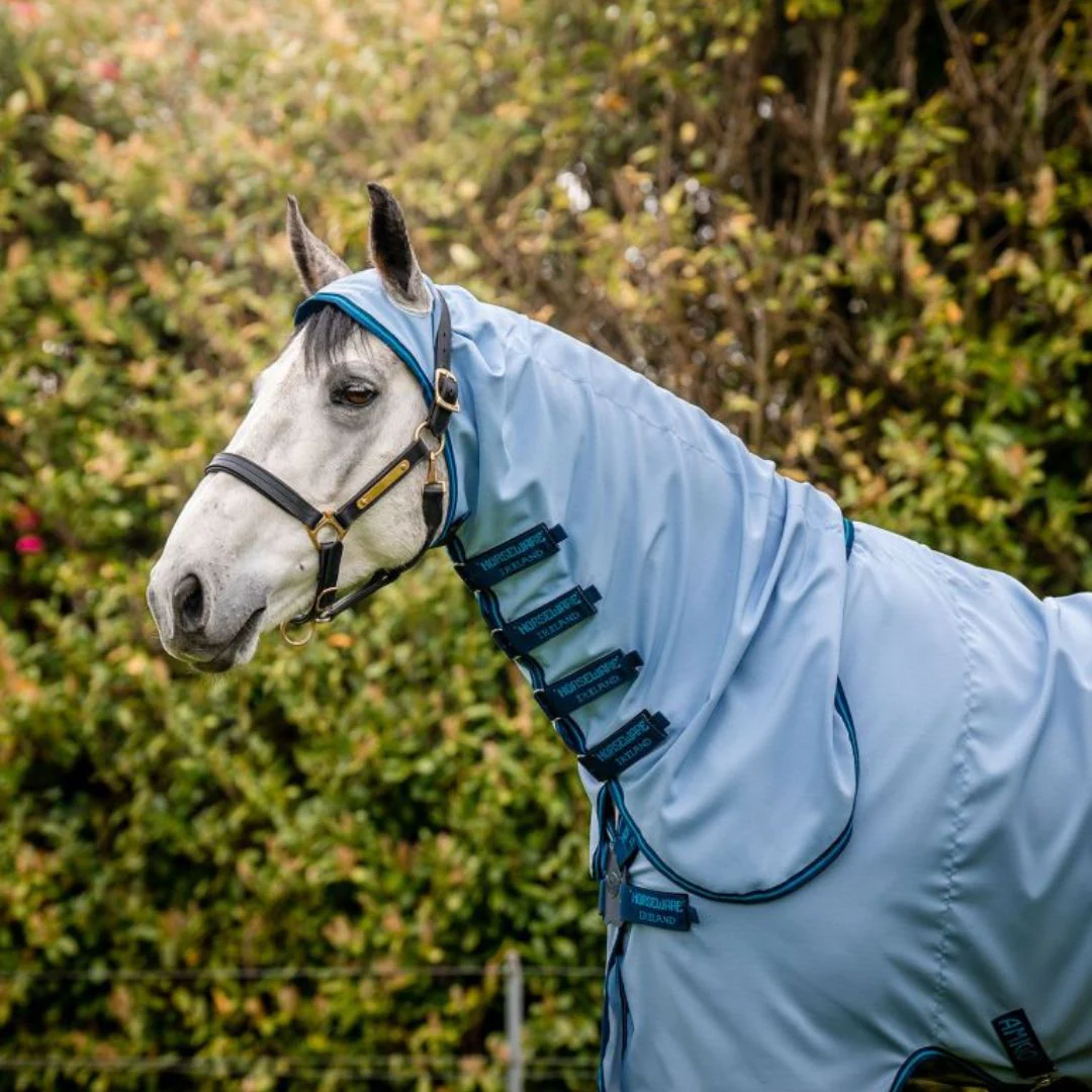 Horseware Amigo Ripstop Hoody Rug in Azure Blue, Navy & Electric Blue - Image 7