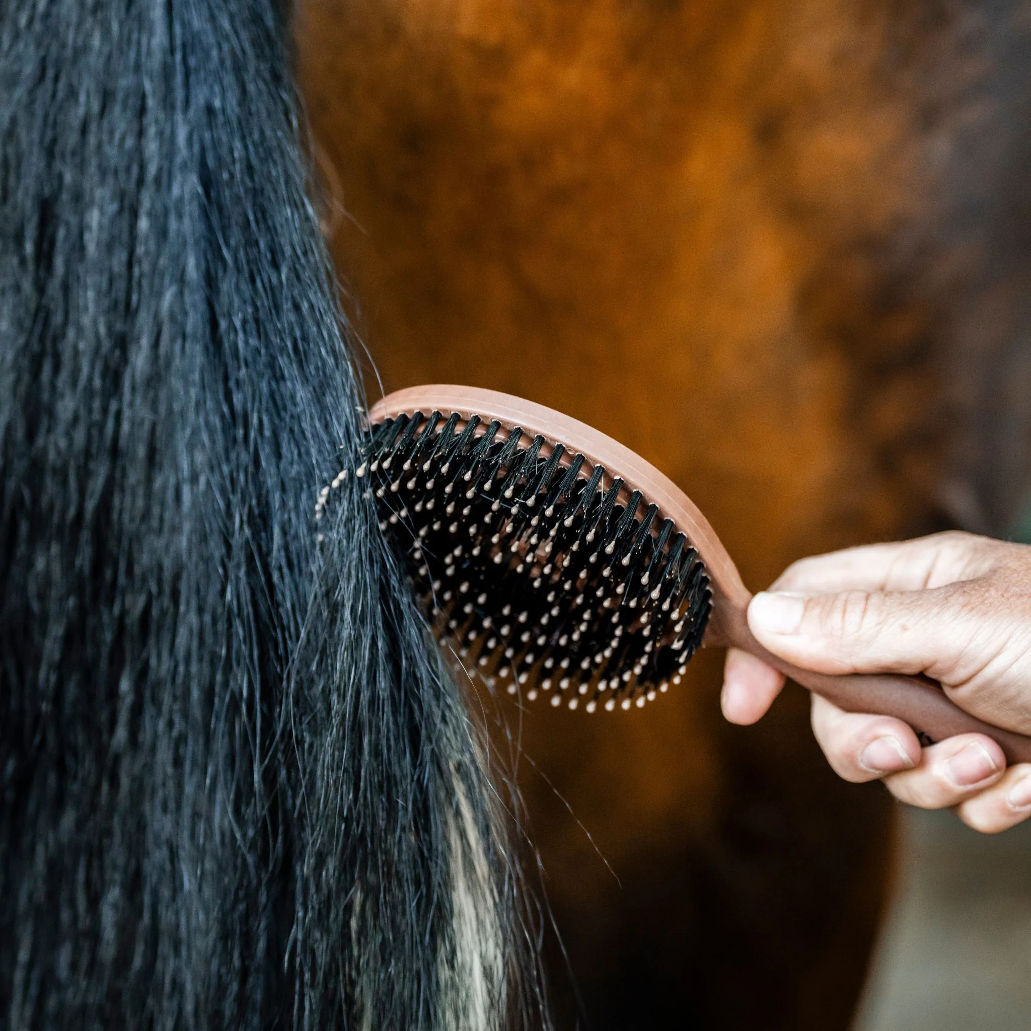 Horseware Mane And Tail Brush Wood - Image 2