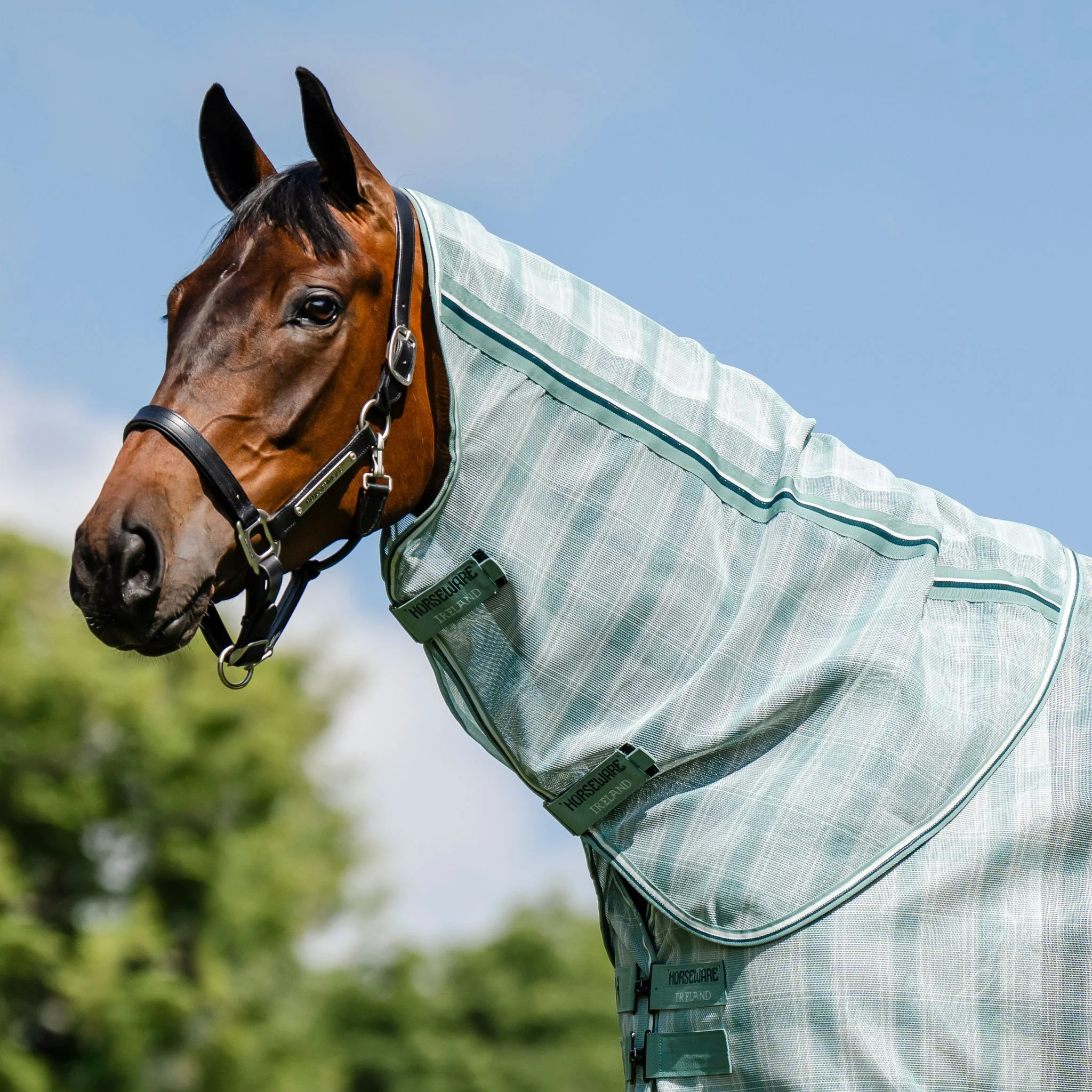 Horseware Newmarket Plus Fly Rug in Witney & Dynasty - Image 3