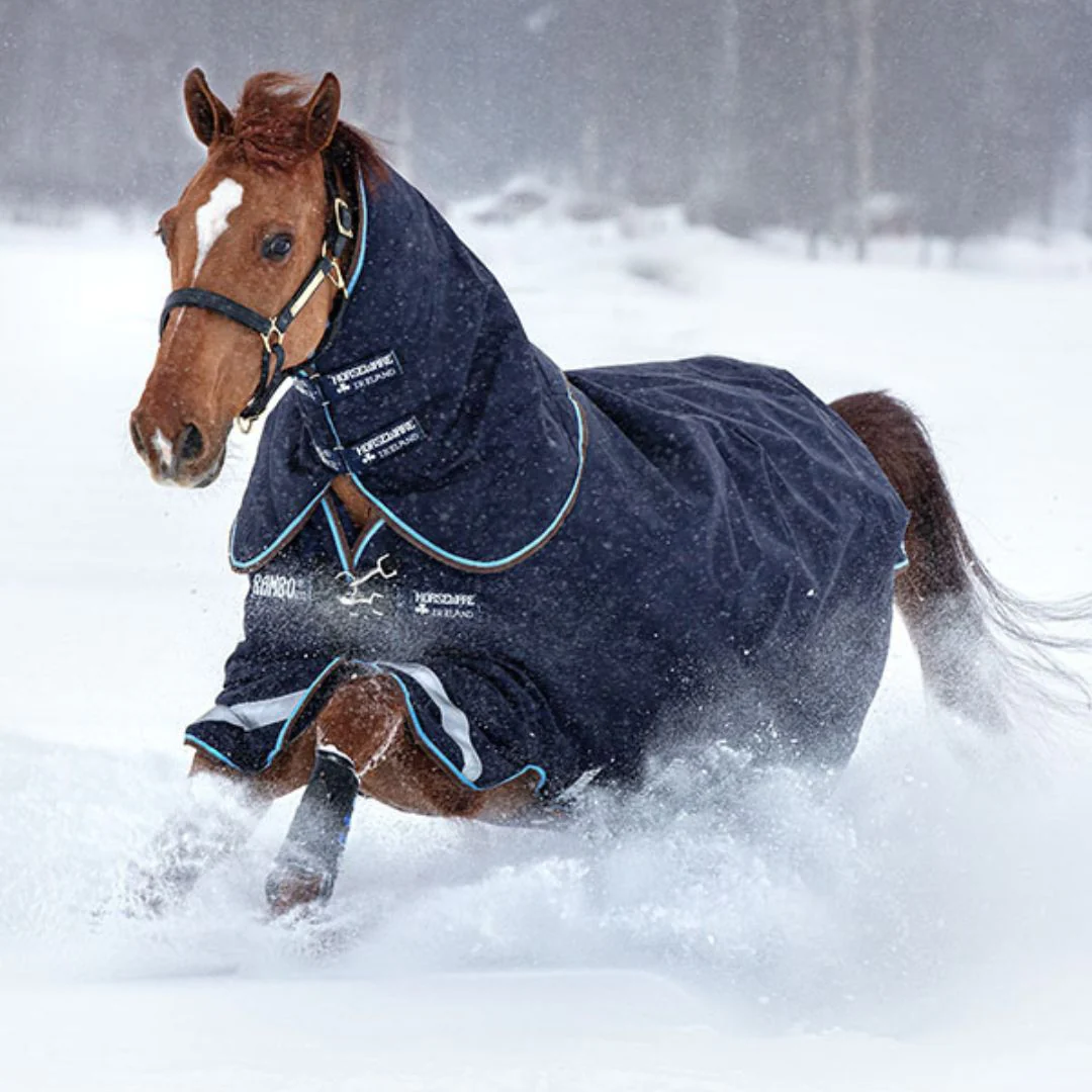 Horseware Rambo Duo Heavy Turnout Rug in Navy & Blue (100g Outer with 300g Liner)