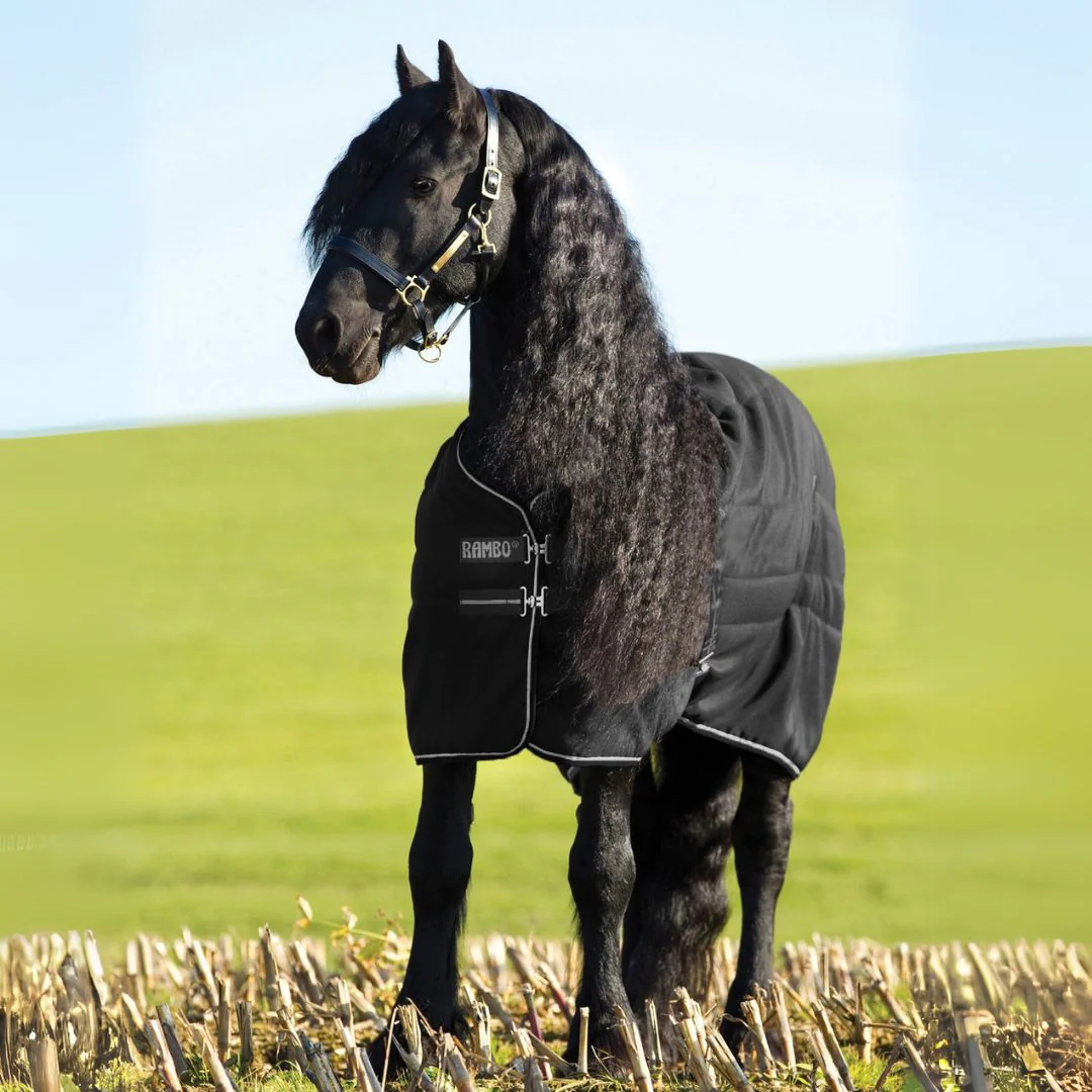 Horseware Rambo Stable Medium Rug in Black & Silver (200g) - Image 6