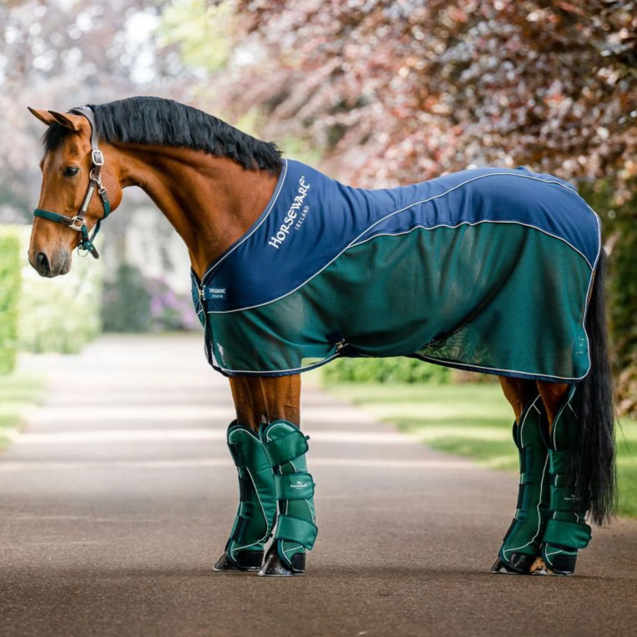 Horseware Signature Sport Cooler in Navy & Hunter Green (No Fill) - Image 5