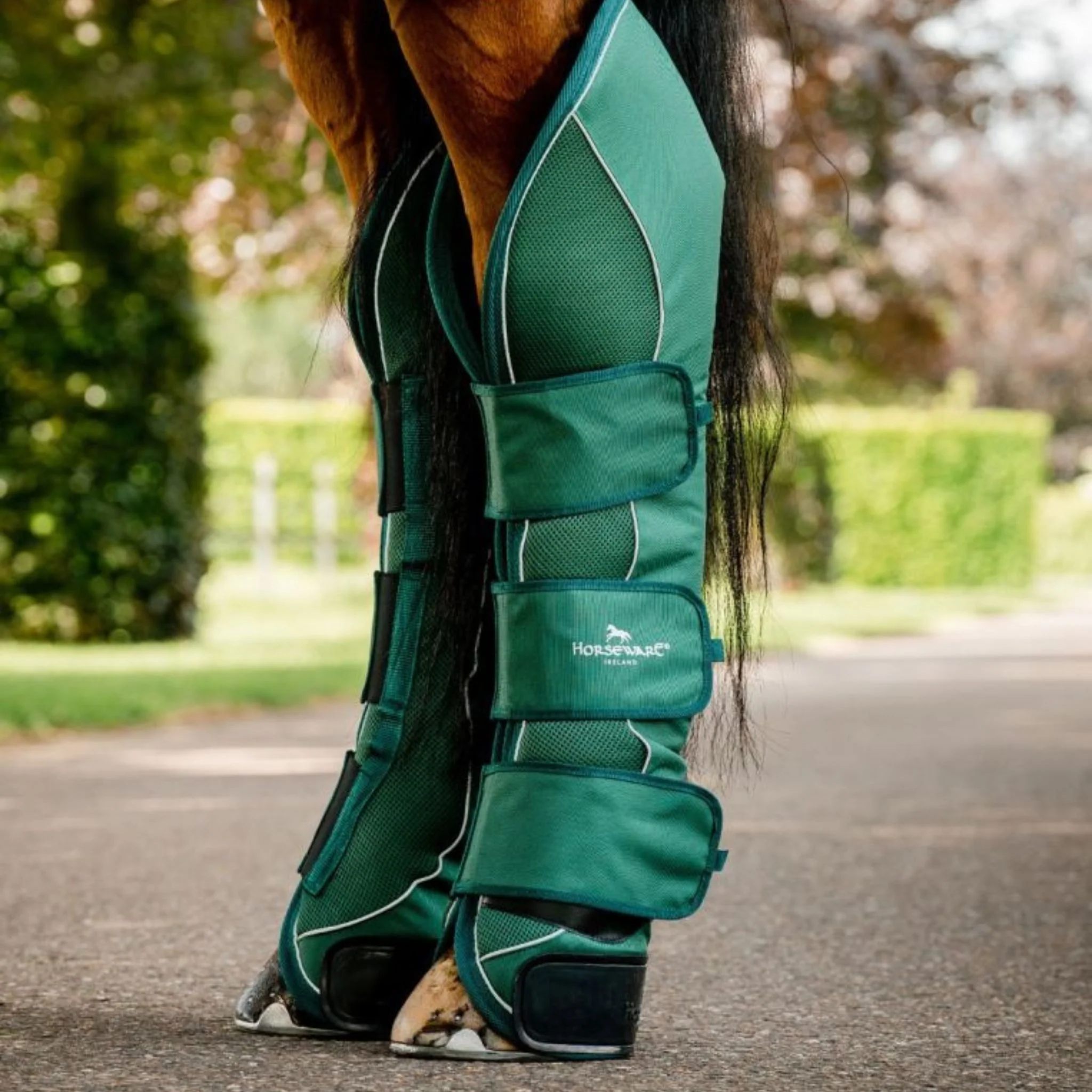Horseware Signature Travel Boots in Hunter Green - Image 3