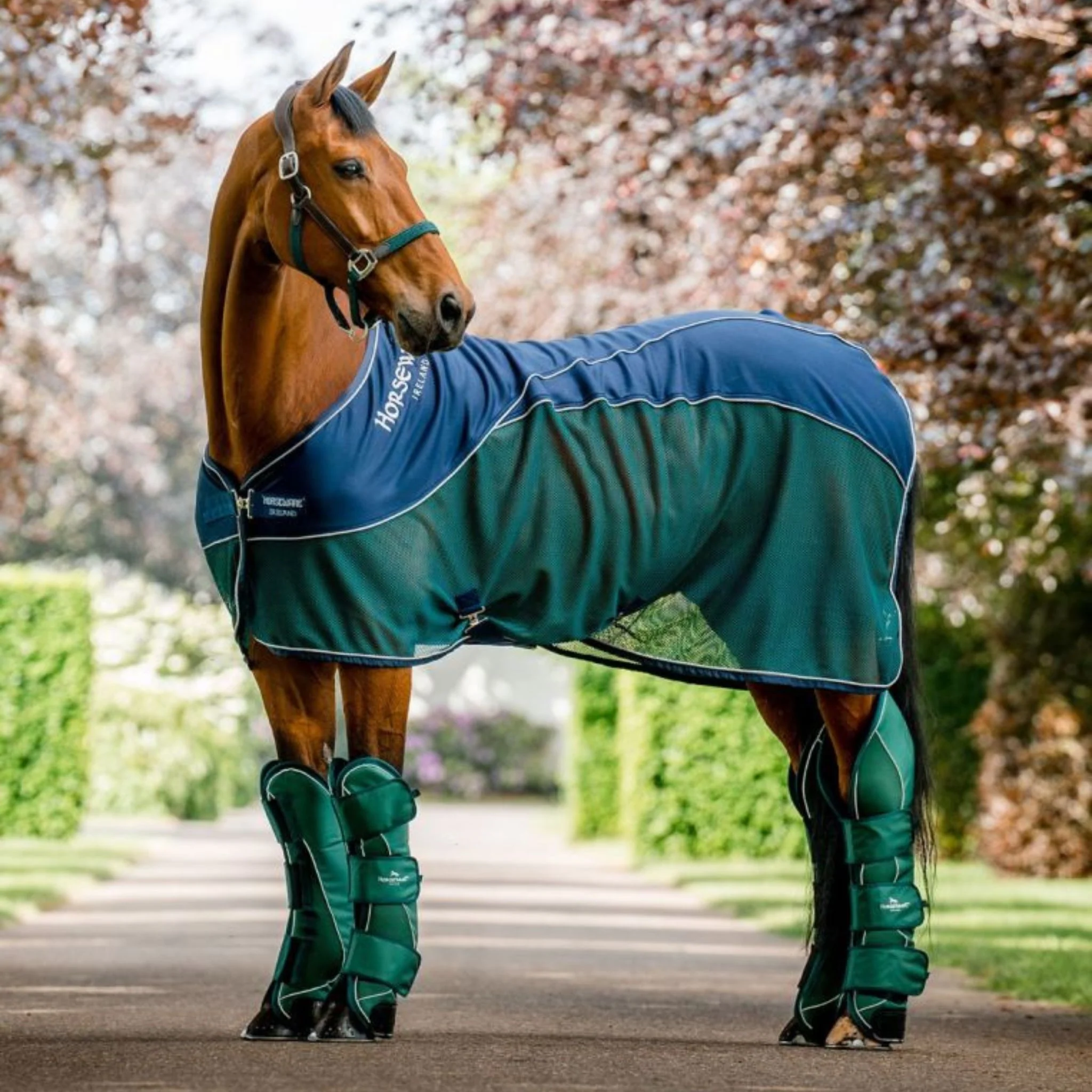 Horseware Signature Travel Boots in Hunter Green - Image 8