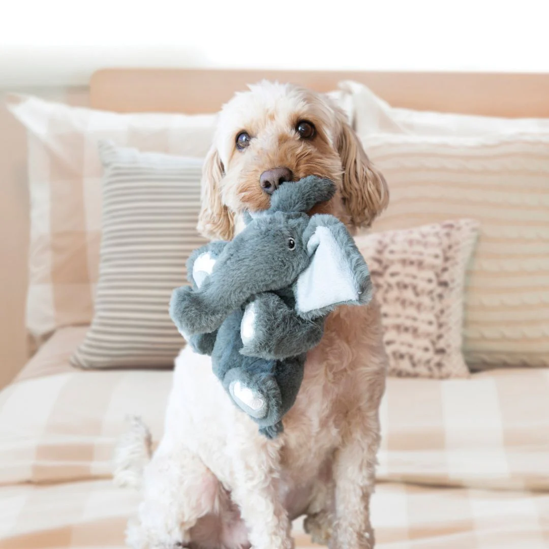 KONG Comfort Kiddos Pig - Image 2