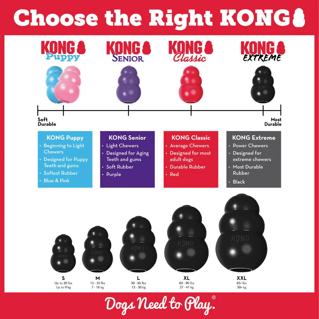 KONG Extreme - Image 5