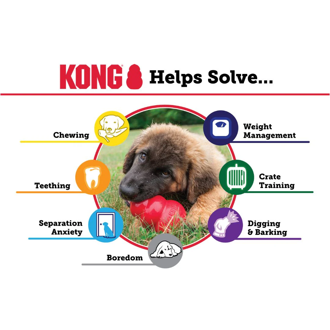 KONG Classic - Image 7