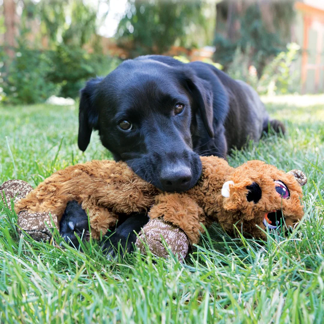 KONG Low Stuff Flopzie Fox Dog Plush Toy - Image 3
