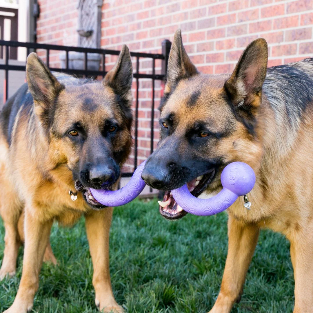 KONG Ogee Stick Dog Rubber Toy - Image 2