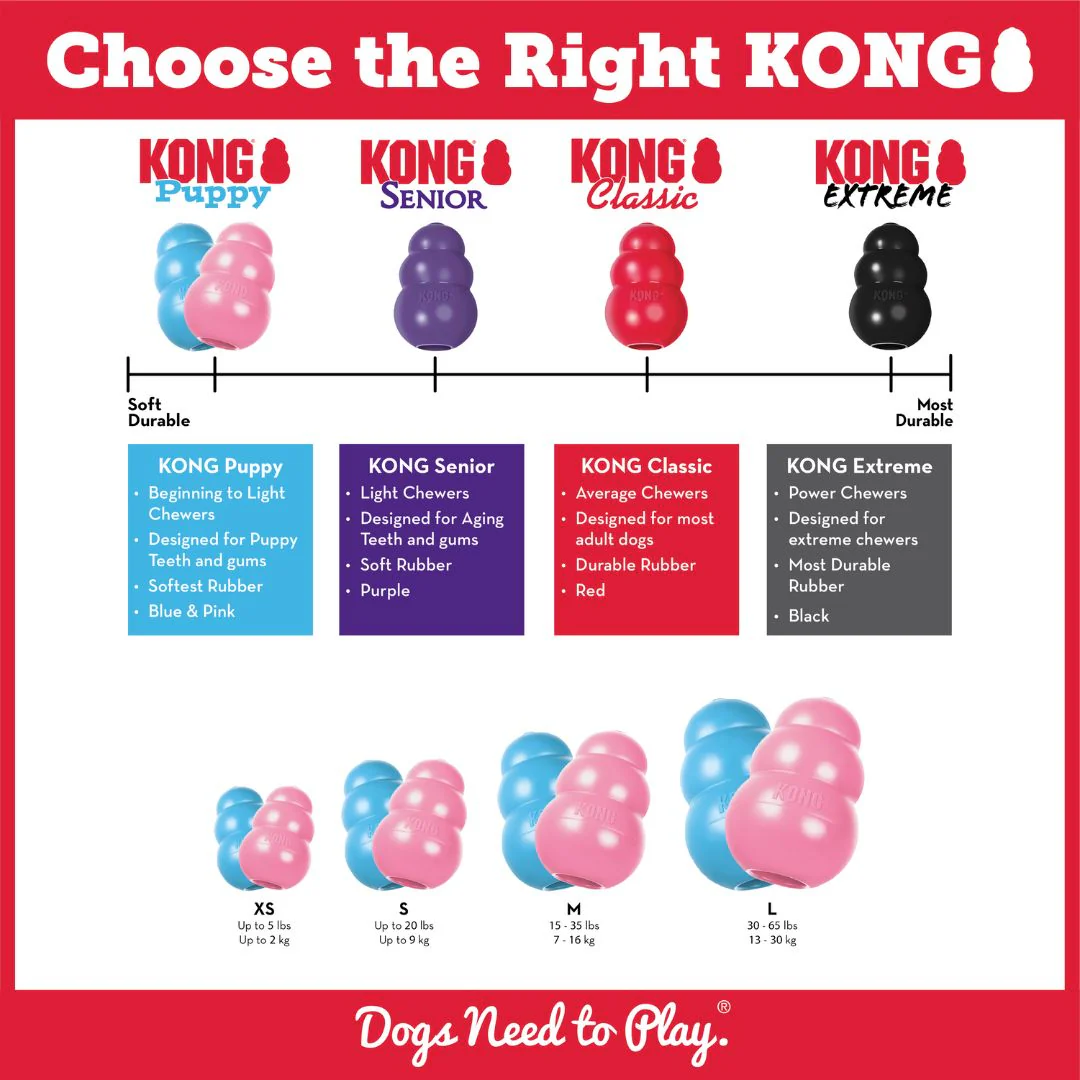 KONG Puppy - Image 4