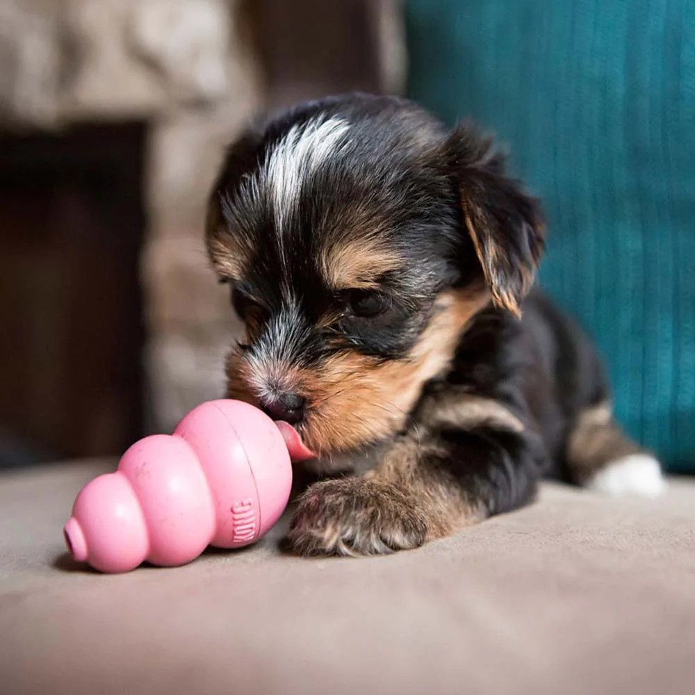 KONG Puppy - Image 6