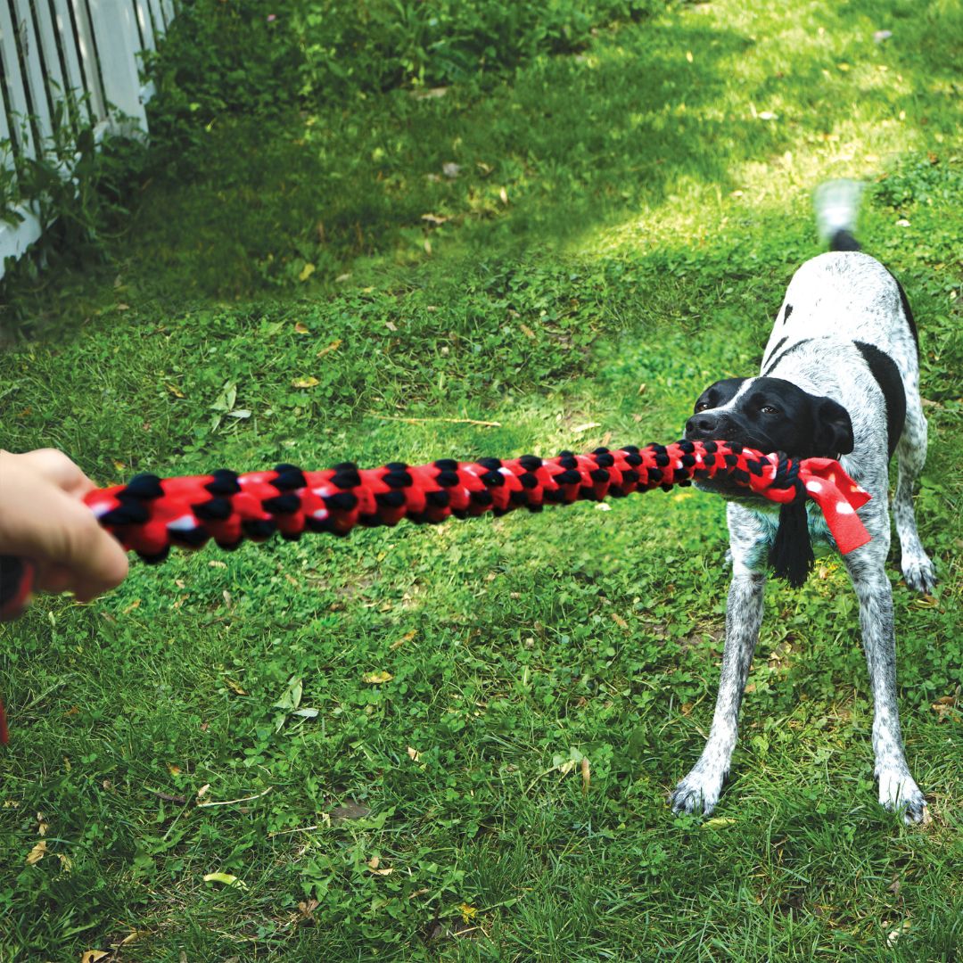 KONG Signature Dual Knot Rope - Image 3