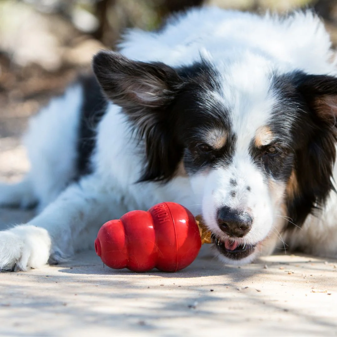 KONG Snacks Liver - Image 3