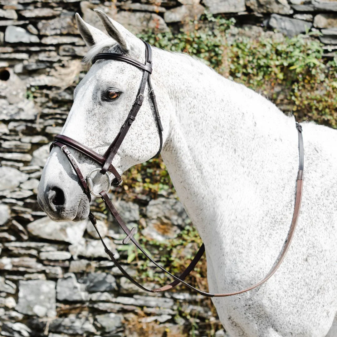 Mackey Classic Padded Flash Bridle in Brown - Image 2