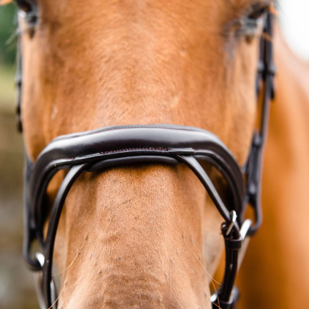 Mackey Legend Athena Bridle in Black - Image 3