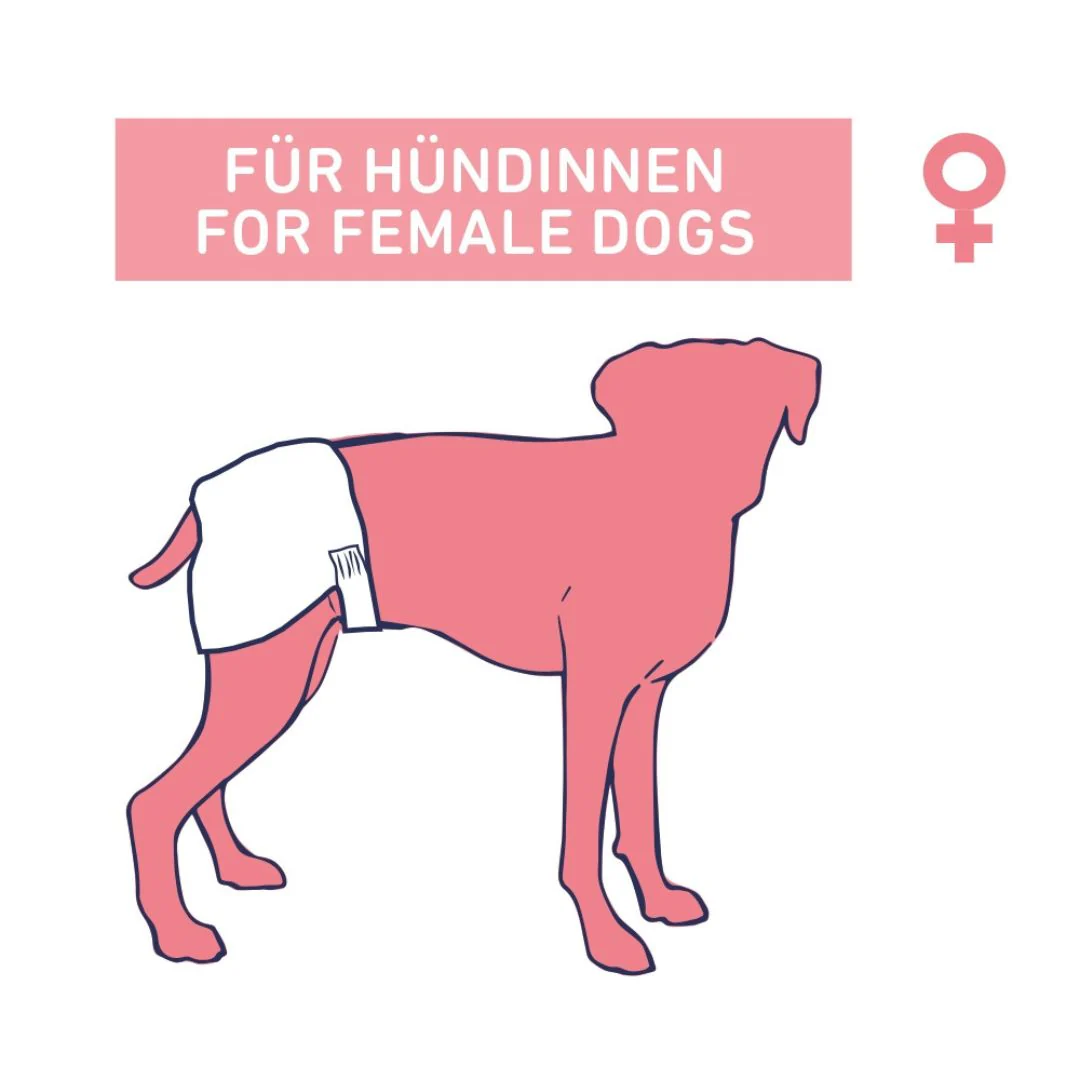 Nobby Female Dog Diapers - Image 3