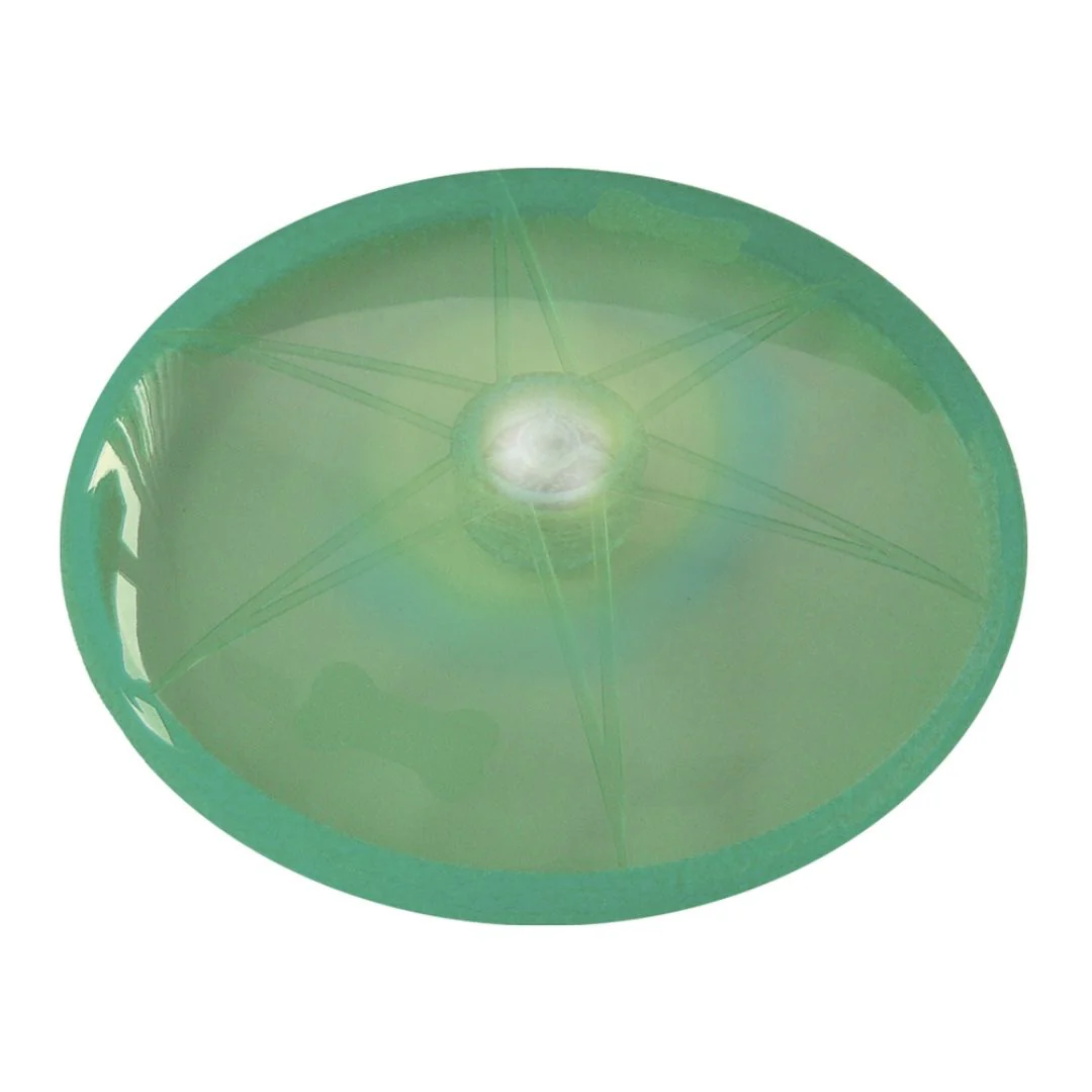 Nobby Flash LED Disc Dog Toy in Green