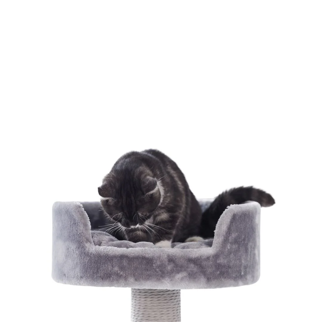 Nobby Zera Cat Scratching Tree in Grey - Image 2
