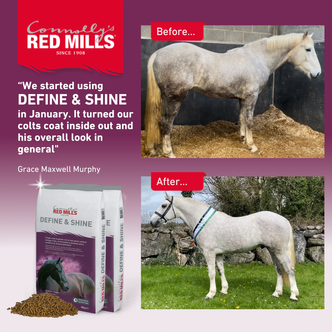 Red Mills Horse Define & Shine 18kg - Image 7