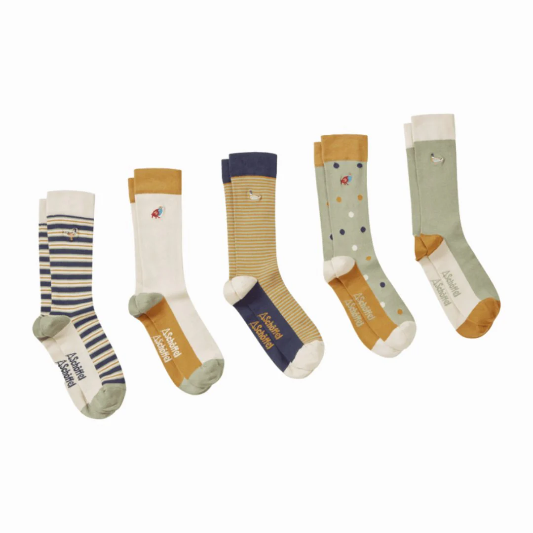 Schoffel Men's Bamboo Sock (Box of 5) in Game Bird