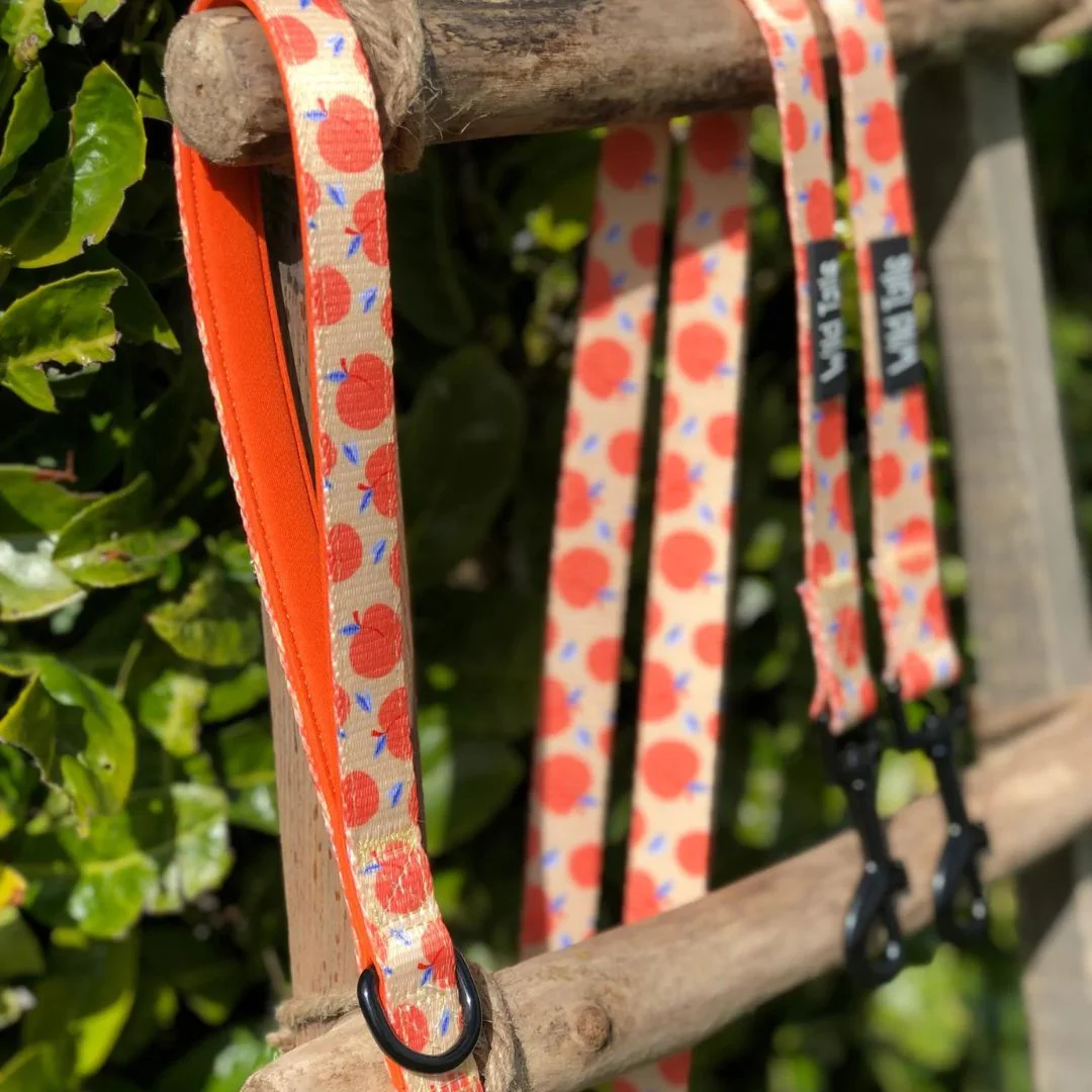Wild Tails Georgia Dog Lead - Image 2